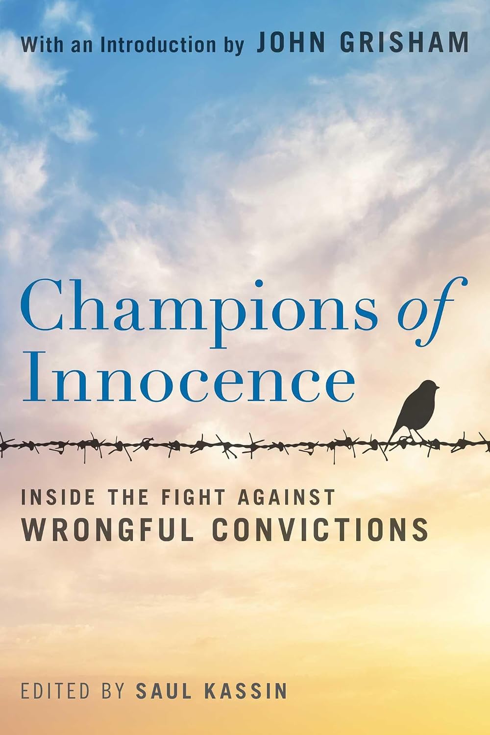 Champions of Innocence: Inside the Fight Against Wrongful Convictions